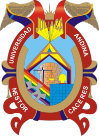 Universidad Andina